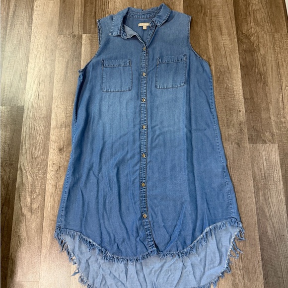 Appraisal Sleeveless Button-Front Denim Shirt Dress - Blue - Picture 10 of 13